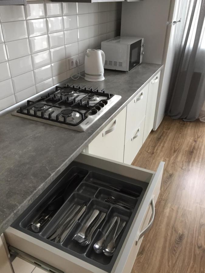 Scandinavian Apartment Lviv Eksteriør bilde
